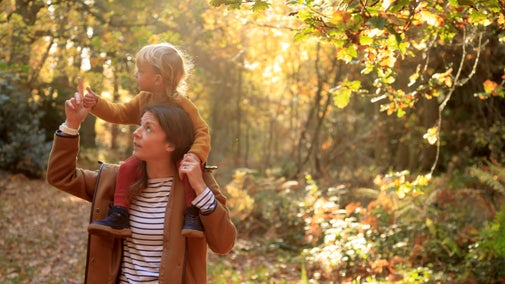 A mother carries her young son on her shoulders in golden autumn light, pointing at leaves falling from the trees